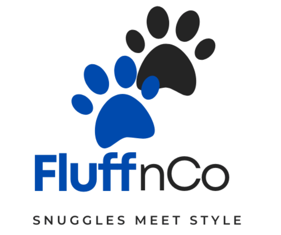 logo transparent
